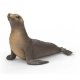 Schleich – Lachtan 14933